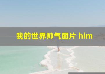 我的世界帅气图片 him